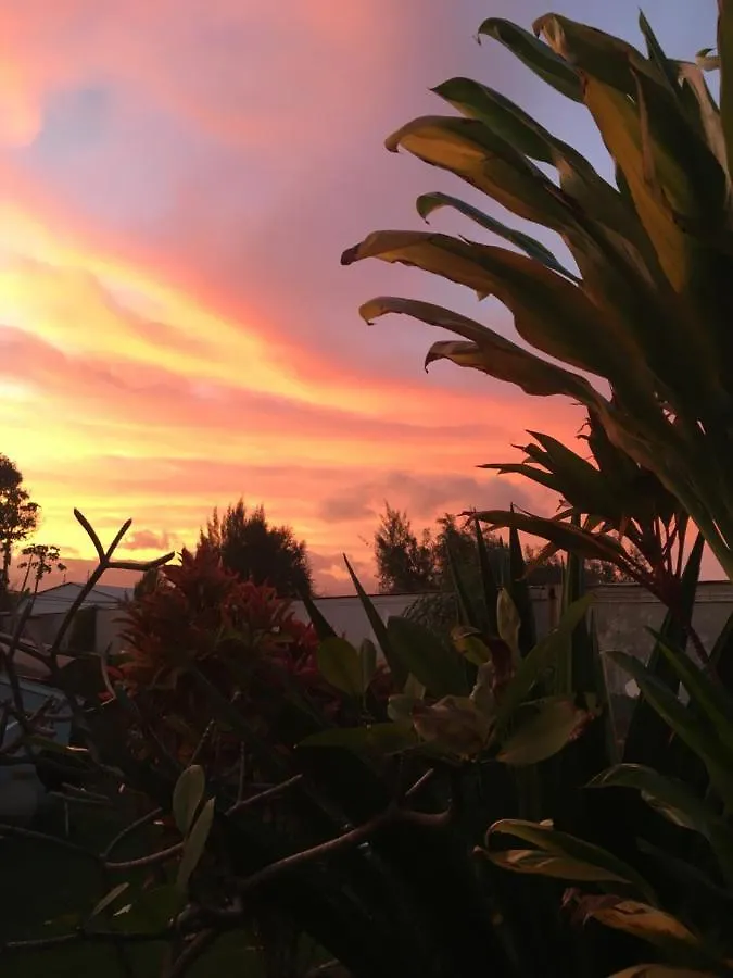 Honu'Ea International Hostel Kauai Kapa'a